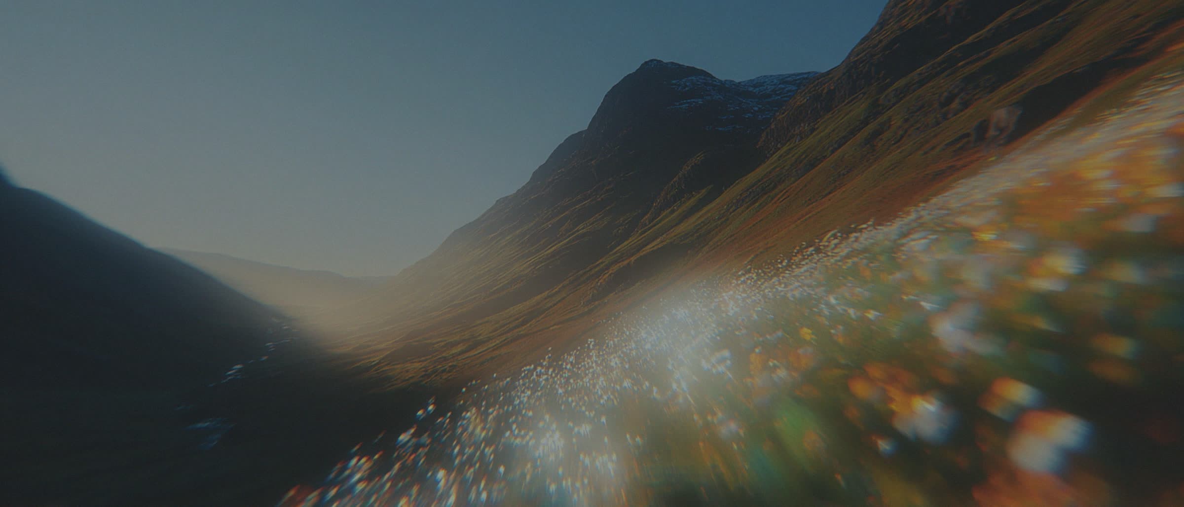 Sunlit mountain valley at golden hour with a layered field of spring wildflowers